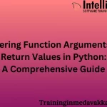 Mastering function arguments and return values in python