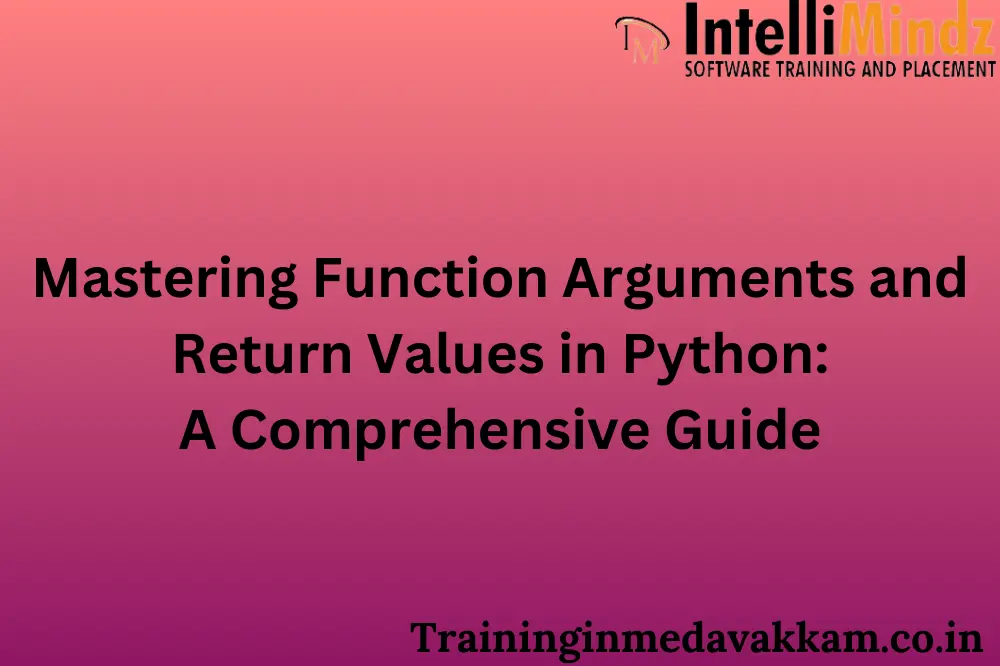 Mastering function arguments and return values in python